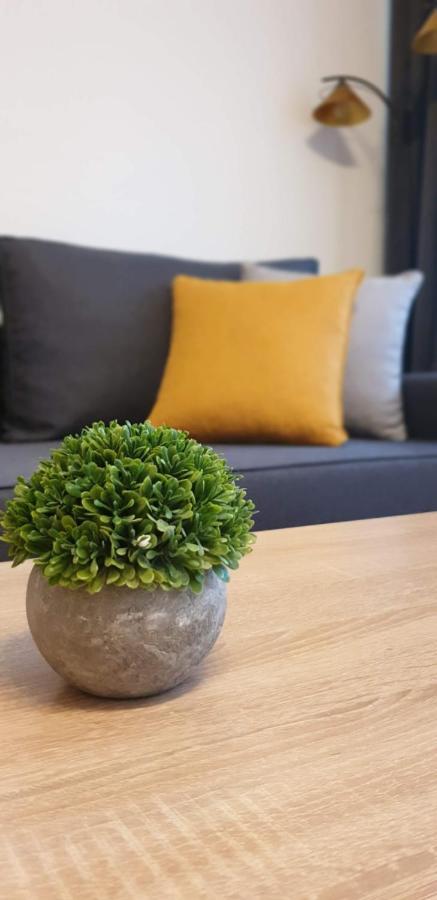 Apartament Barbary Apartment Krakow Bagian luar foto